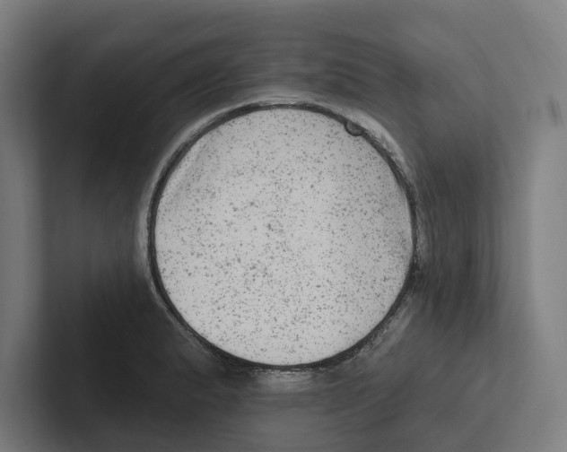 X0000102311183200808221440
