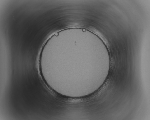 X0000102311187200808221440