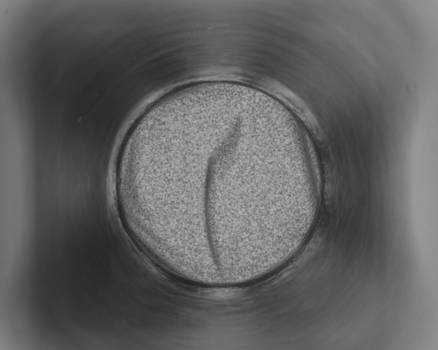X0000102311188200808221440