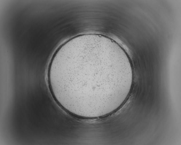 X0000102311189200808221440
