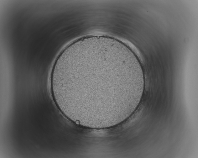 X0000102311191200808221440
