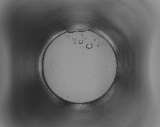 X0000102311195200808221440