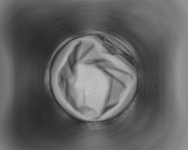 X0000102311198200808221440