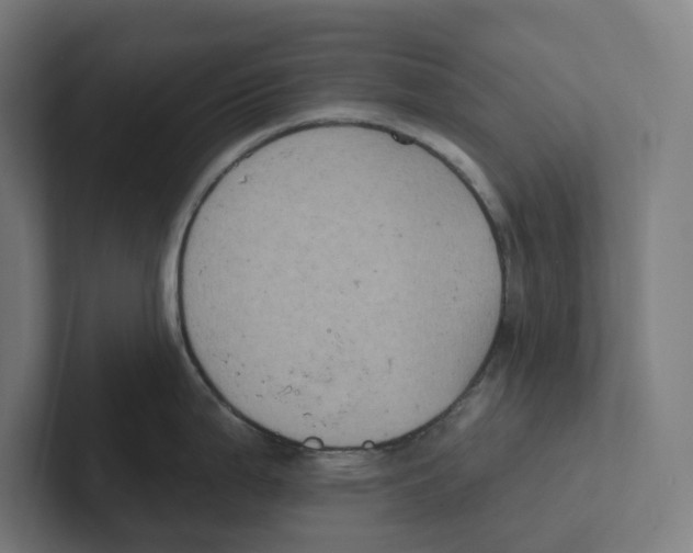 X0000102311199200808221440