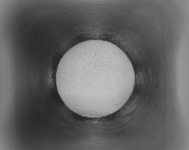X0000102311202200808221439