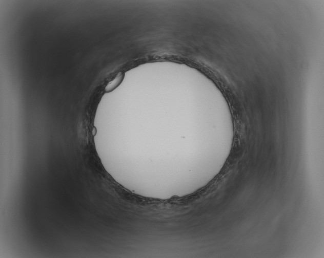 X0000102311207200808221439
