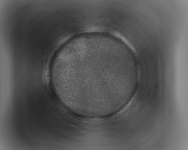 X0000102311213200808221439