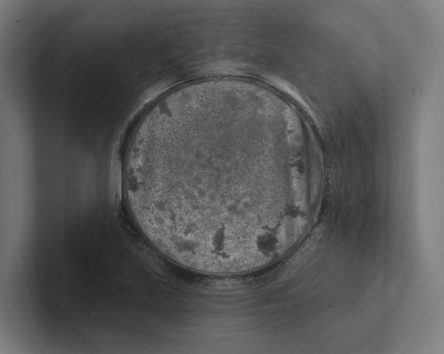X0000102311219200808221439