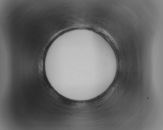 X0000102311220200808221439
