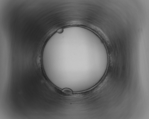 X0000102311225200808221439