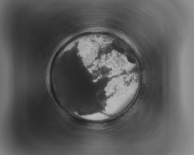 X0000102311229200808221439