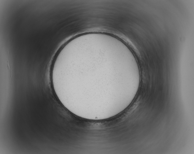 X0000102311230200808221440