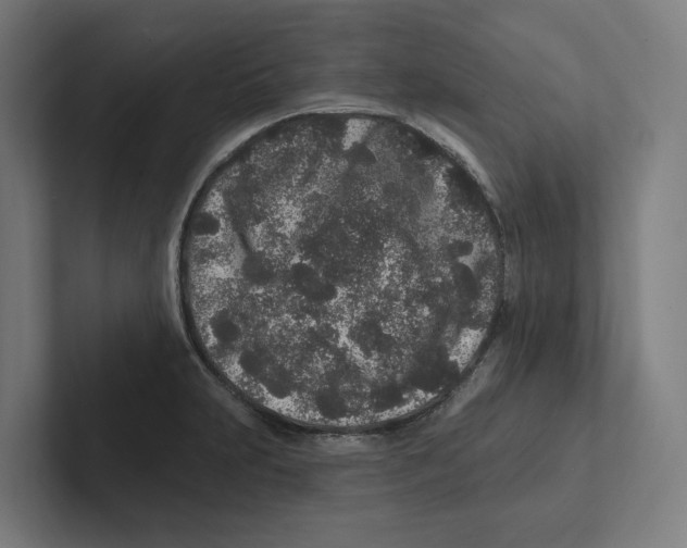 X0000102311231200808221440