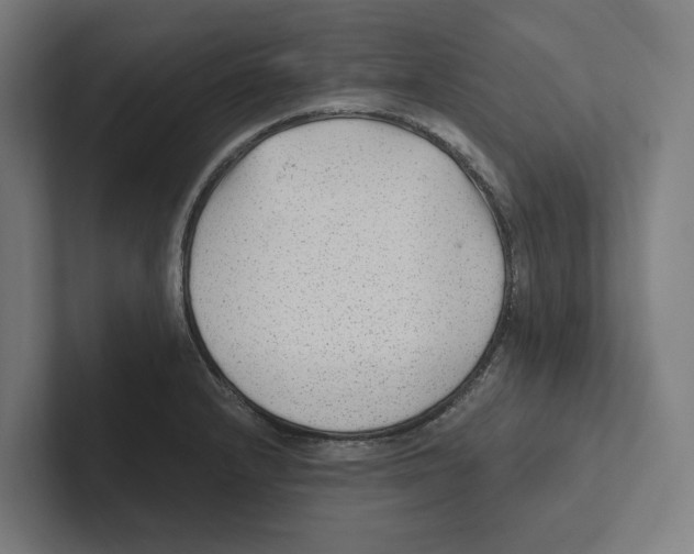 X0000102311232200808221440