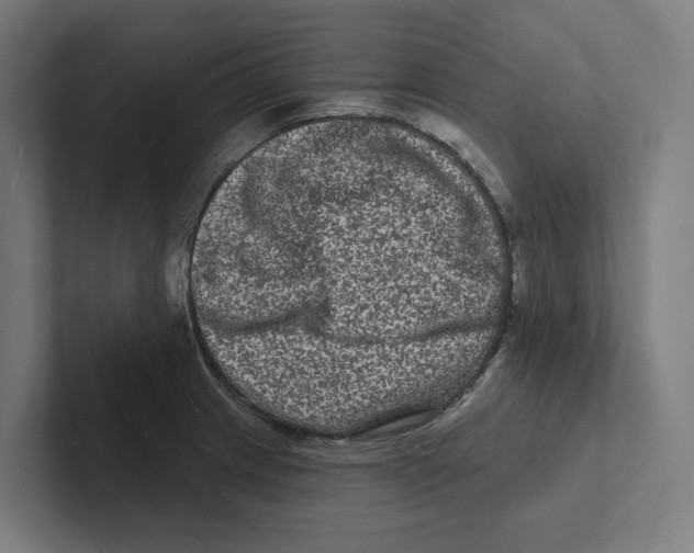 X0000102311233200808221440