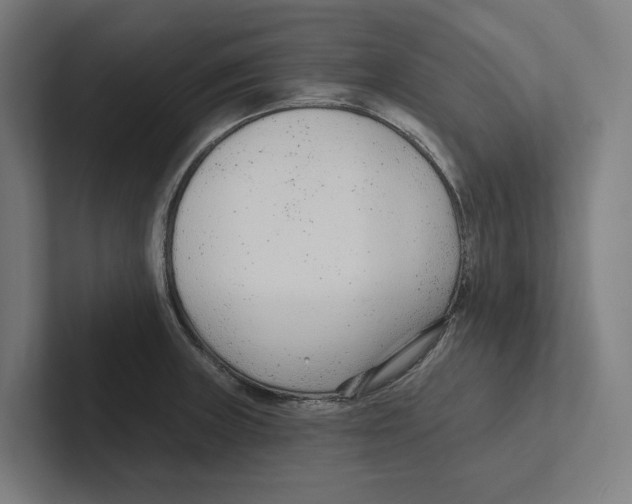 X0000102311235200808221440