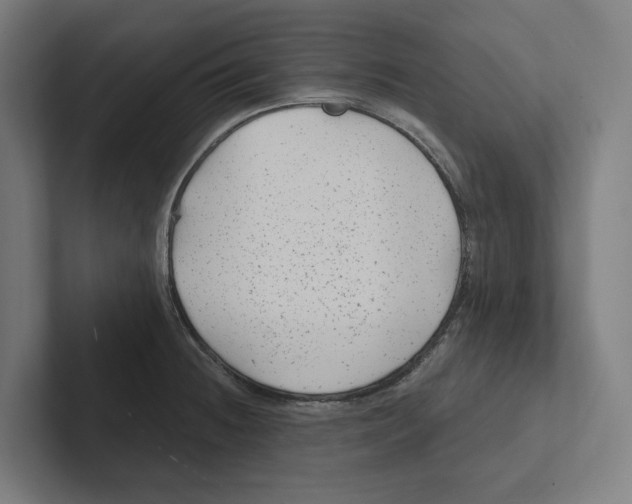 X0000102311236200808221440
