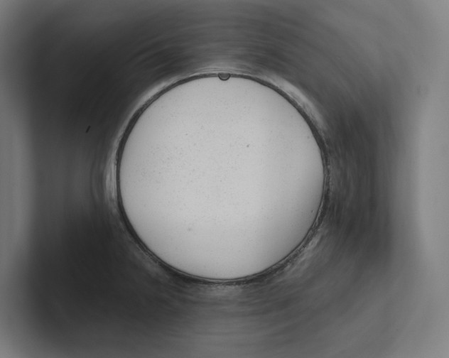 X0000102311238200808221440