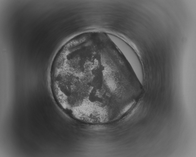 X0000102311239200808221440