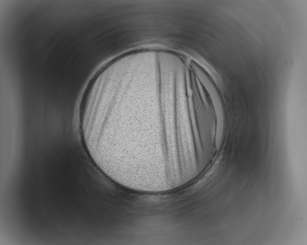X0000102311240200808221440
