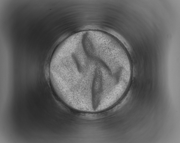 X0000102311241200808221440