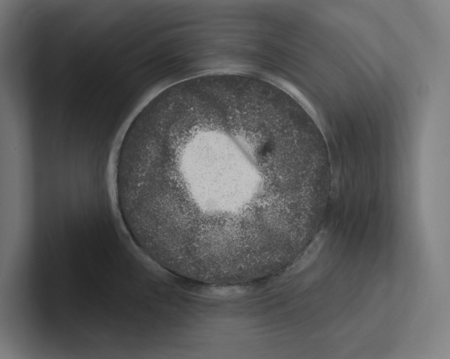X0000102311243200808221440