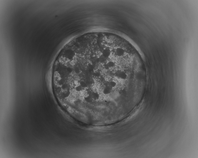 X0000102311245200808221440