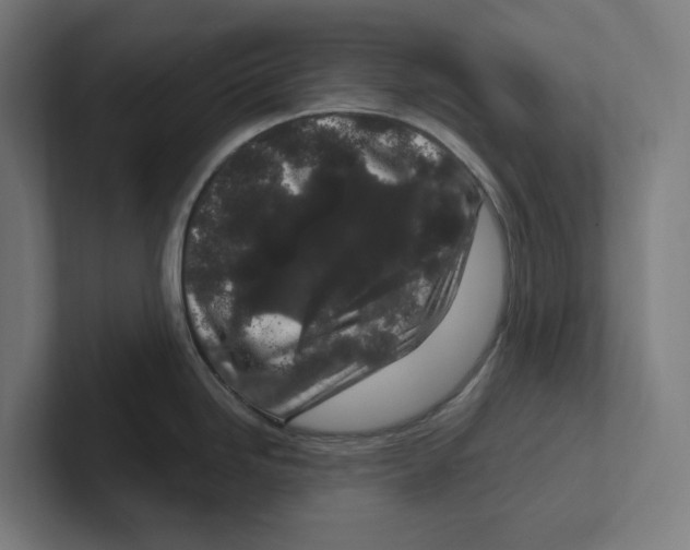 X0000102311246200808221440