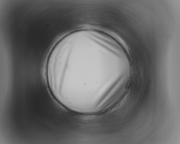 X0000102311247200808221440