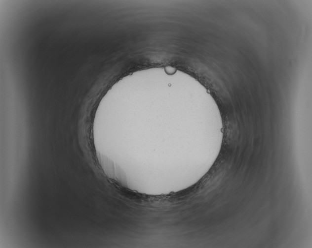 X0000102311249200808221439