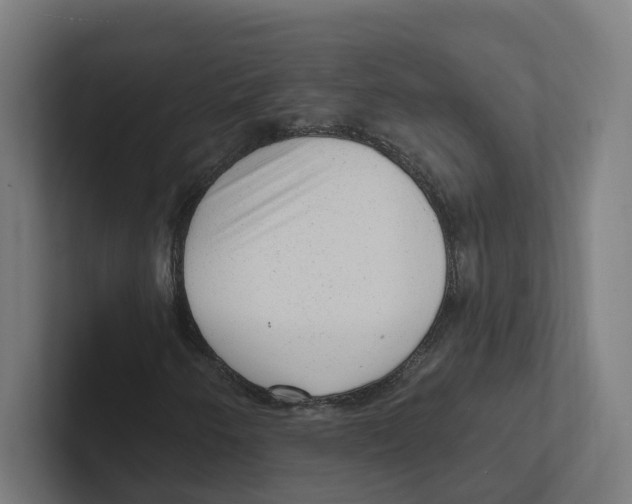 X0000102311250200808221439