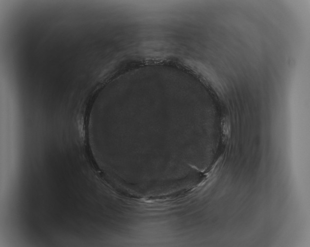 X0000102311252200808221439