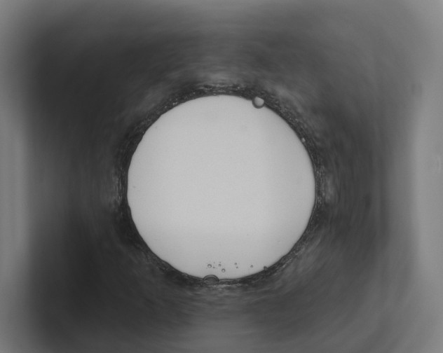 X0000102311253200808221439