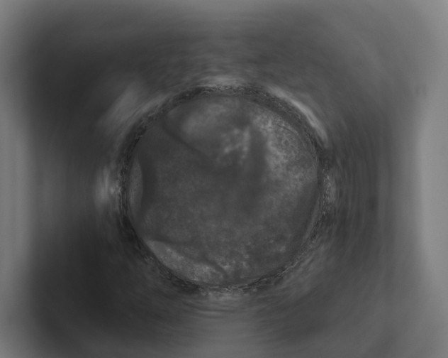 X0000102311254200808221439
