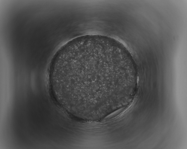 X0000102311263200808221439