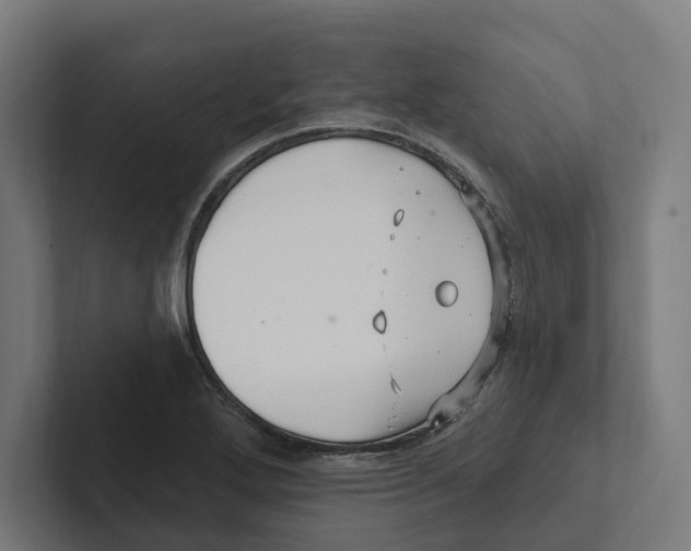 X0000102311272200808221439