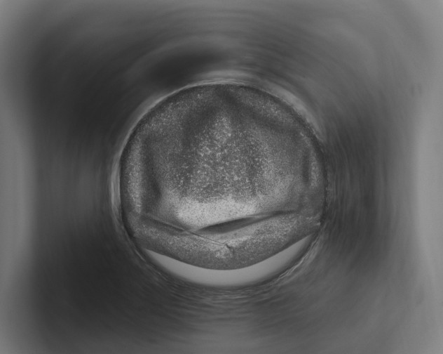 X0000102311275200808221439