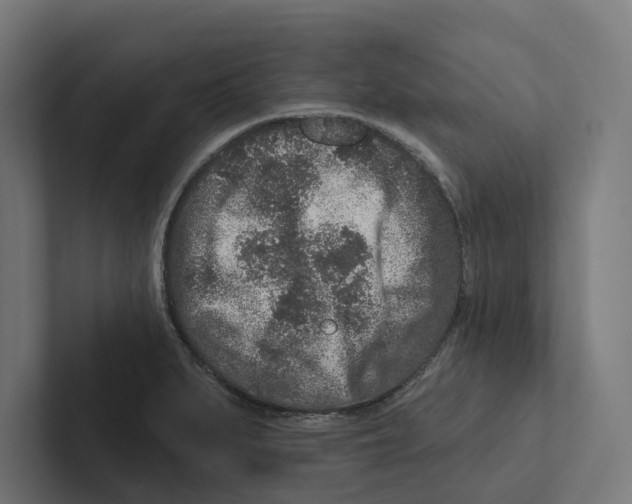 X0000102311279200808221439