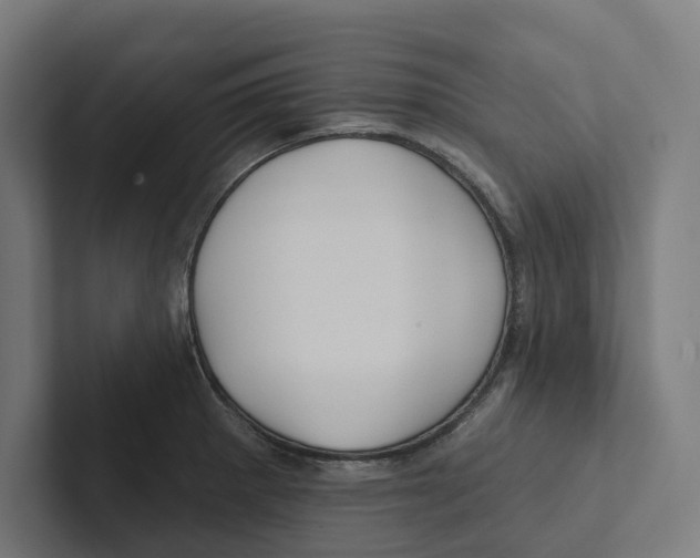 X0000102311281200808221439