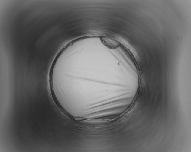 X0000102311283200808221439