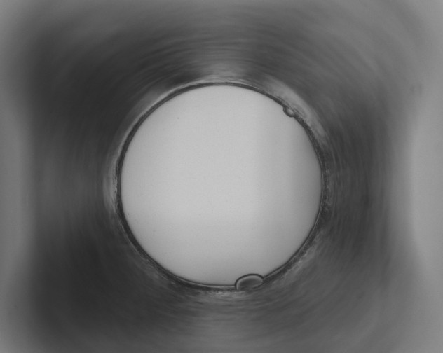 X0000102311284200808221439