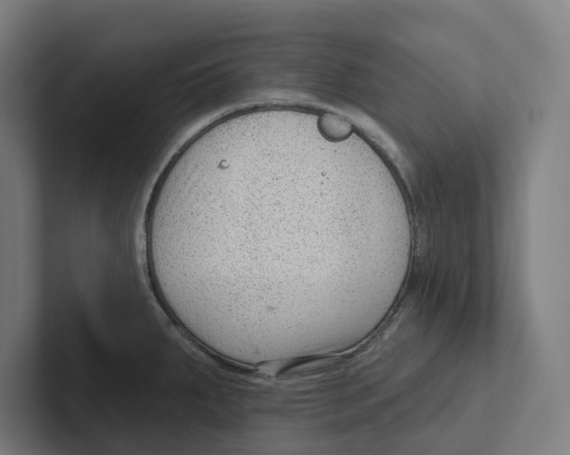 X0000102311287200808221439