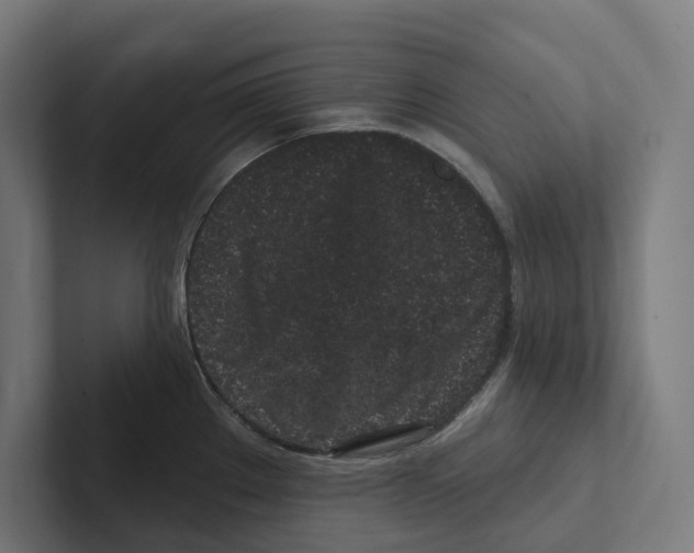 X0000102311289200808221439
