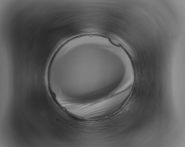 X0000102311291200808221439