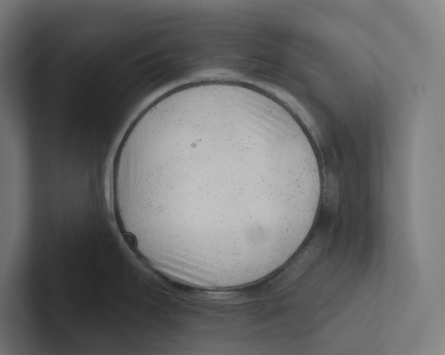 X0000102311295200808221439