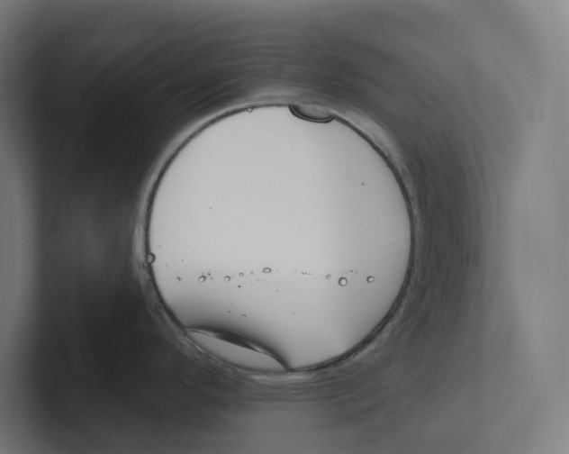 X0000102311296200808221439