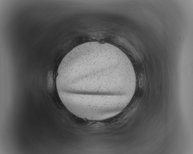 X0000102311298200808221438