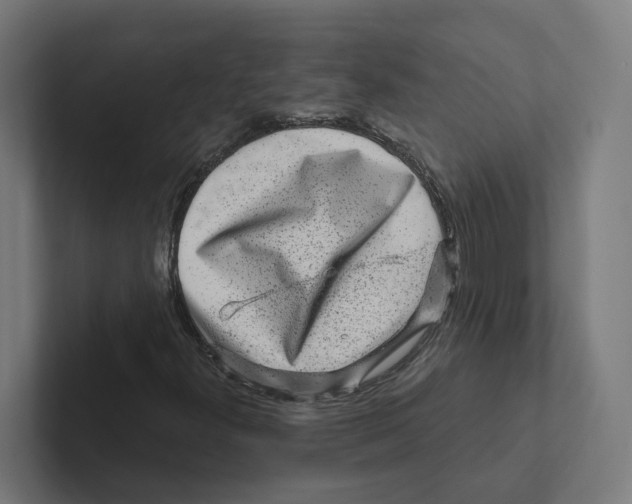 X0000102311300200808221438