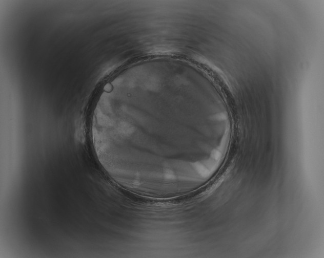 X0000102311306200808221438