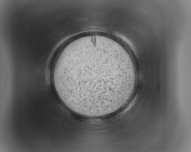 X0000102311310200808221438